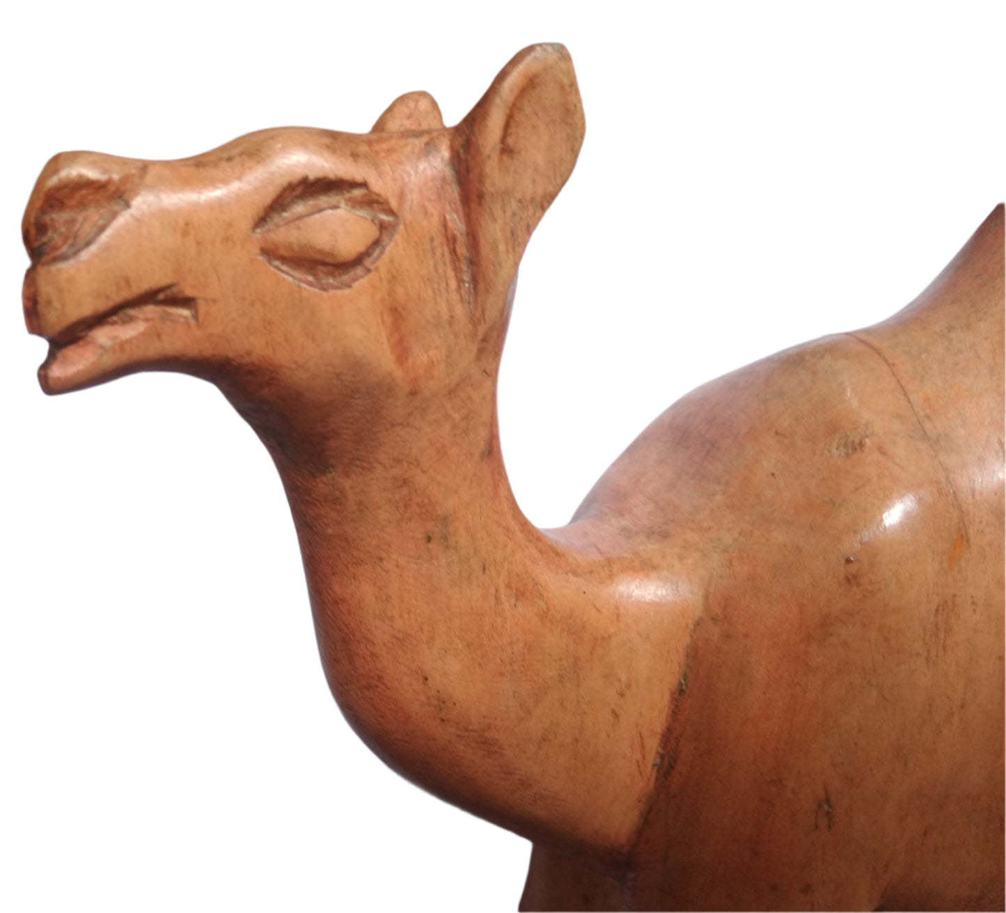 Wooden Camel Sculpture