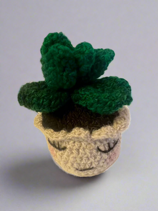 handcrafted wool succulent in a little pot. measures about 3.5" high by 3"